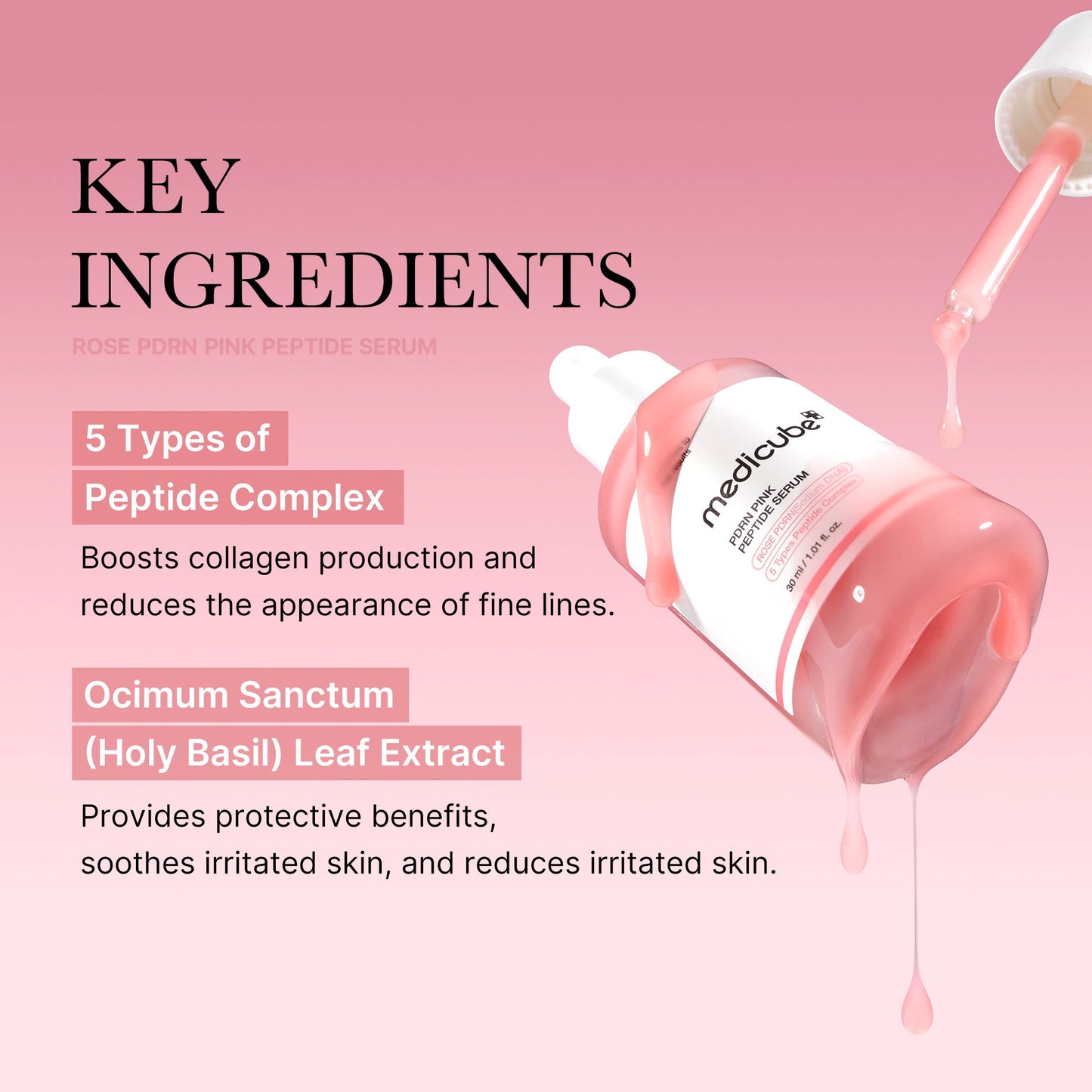 Plump Perfection Set